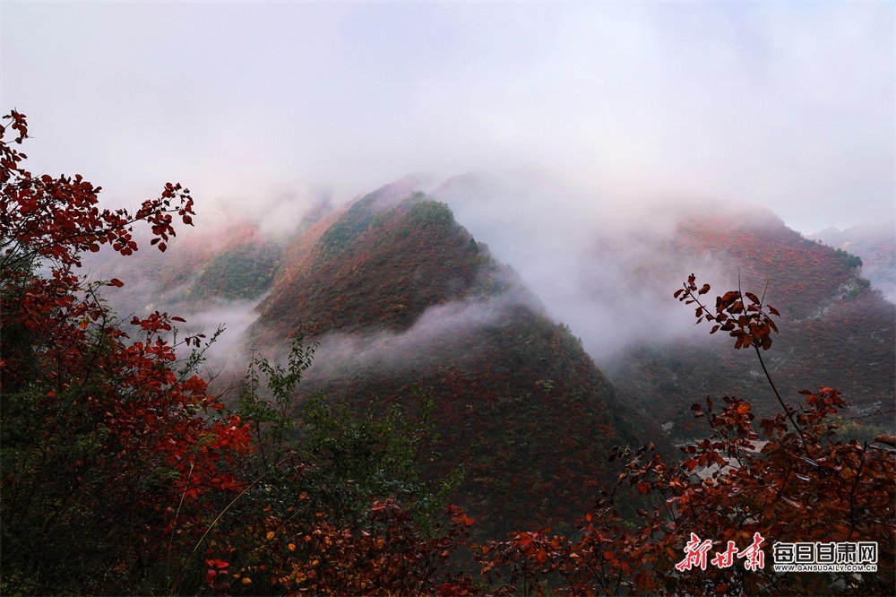 陇南：深秋，两当山乡似浓墨重彩的山水画_fororder_2