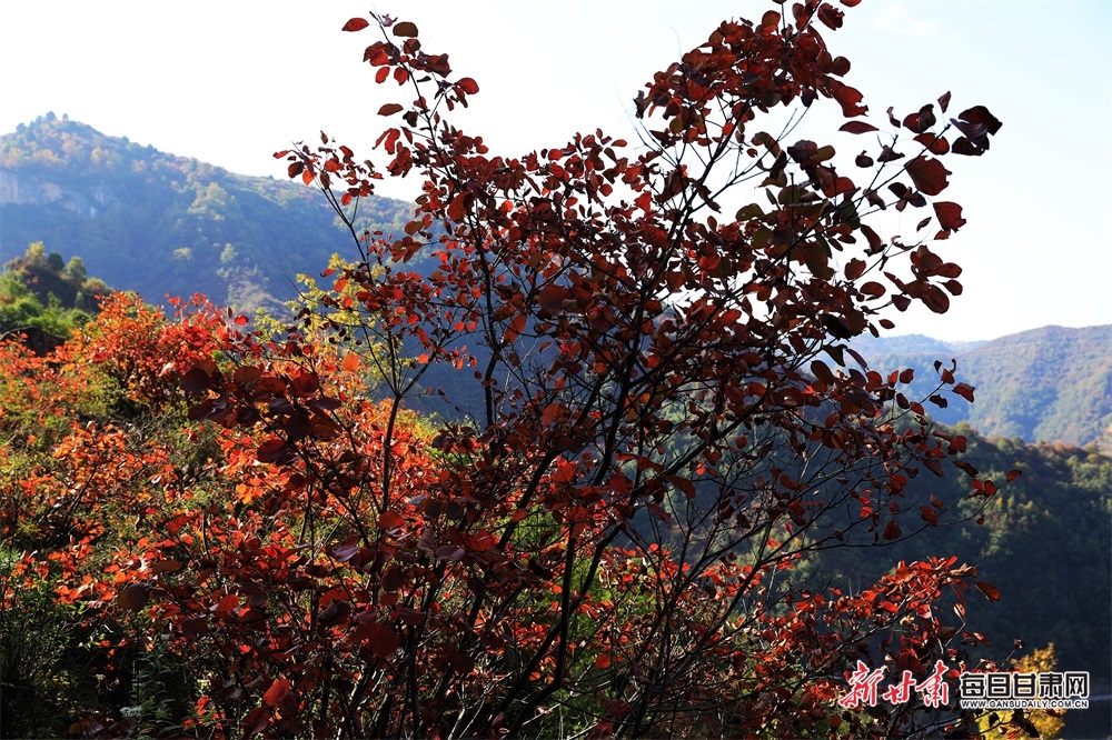 陇南：深秋，两当山乡似浓墨重彩的山水画_fororder_4