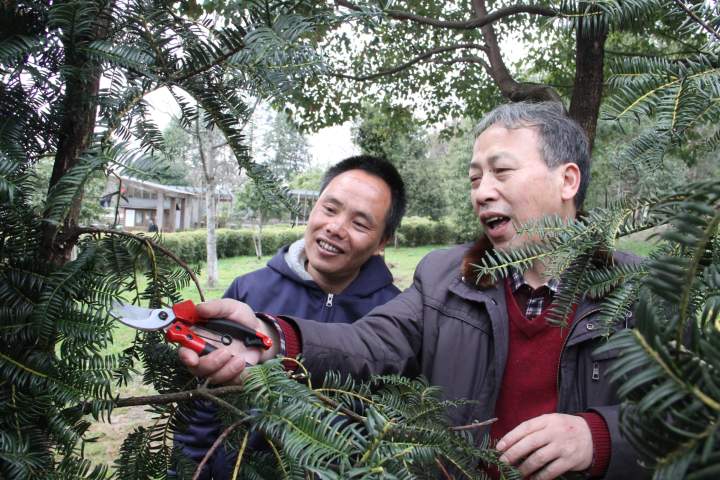 加快农民增收 促进共同富裕 绍兴市自然资源和规划局出台22条措施_fororder_15