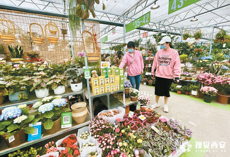 （转载）西安市雁塔区：建好一刻钟便民服务圈 让市民群众畅享“一站式”服务