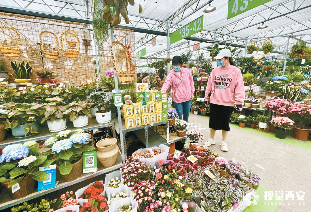 （转载）西安市雁塔区：建好一刻钟便民服务圈 让市民群众畅享“一站式”服务