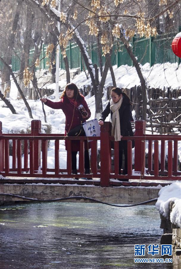 乌鲁木齐：春日雪景度佳节