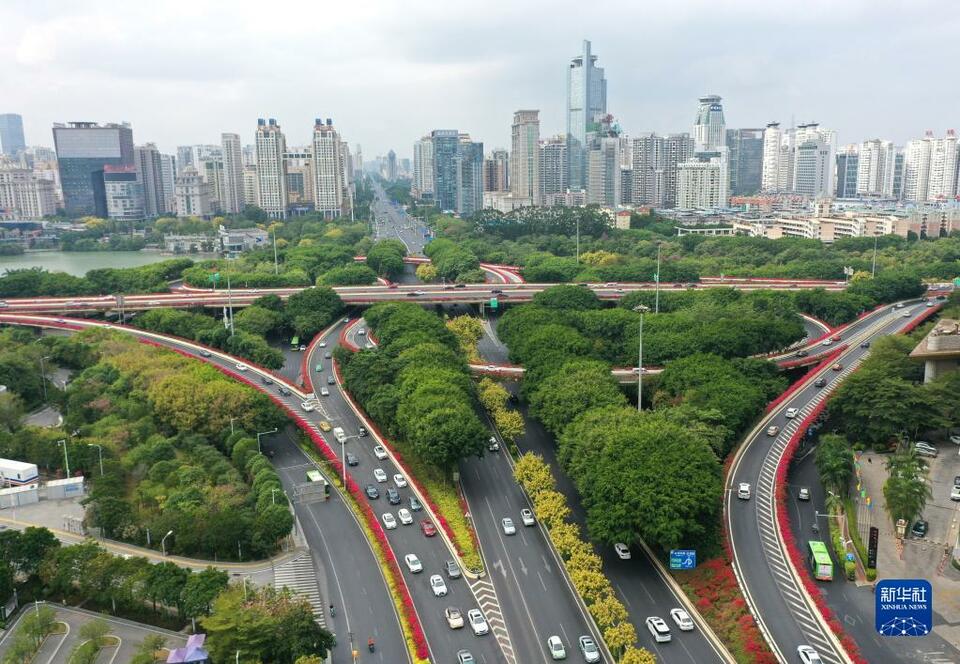 南宁：鲜花扮靓城市