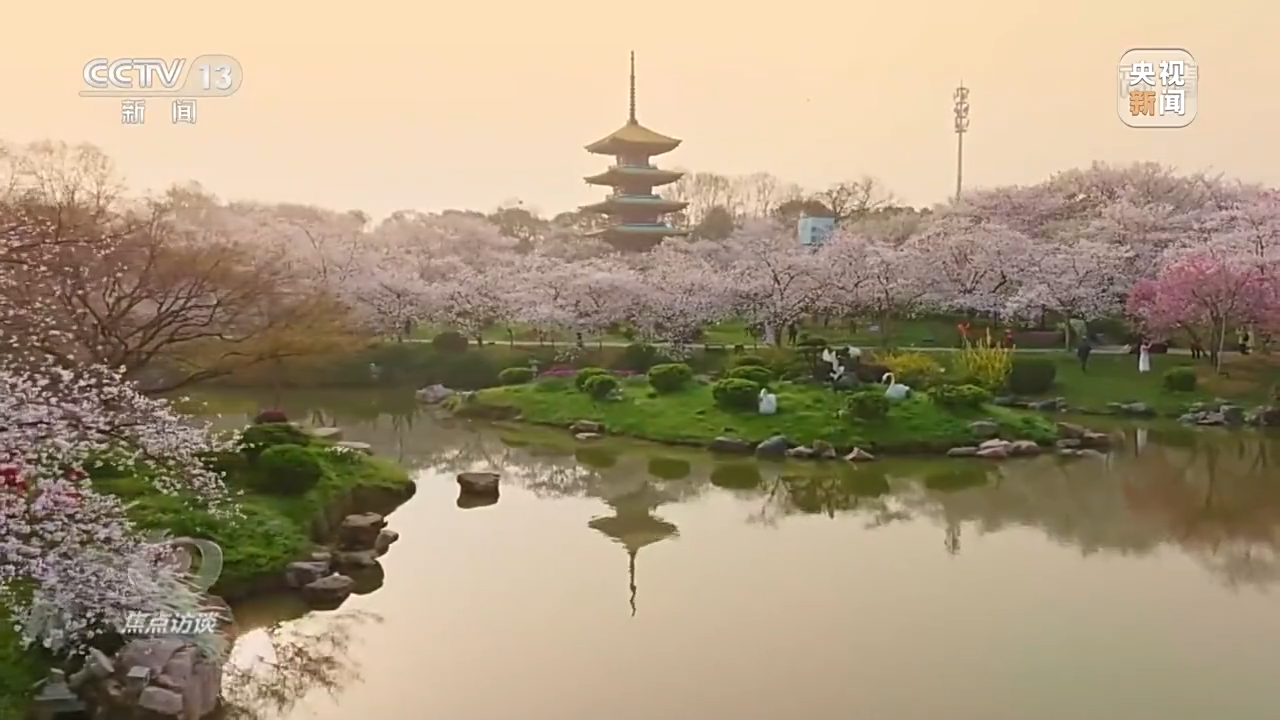 焦点访谈丨珍爱湿地 守护未来