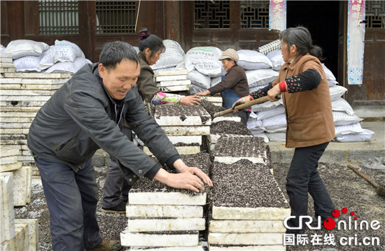 已过审【区县联动】【石柱】【区县联动列表】石柱县马武镇：春耕备耕工作有序推进