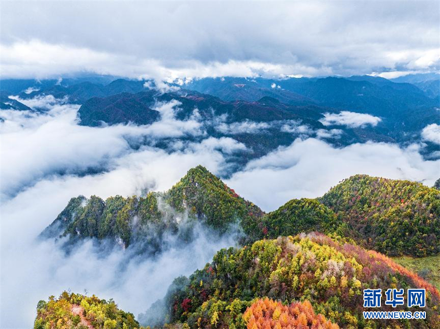 行至神农架 风景正好