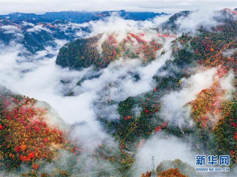 行至神农架 风景正好