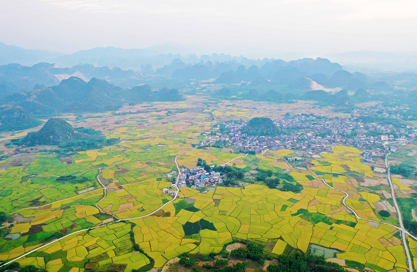 广西融水：霜降时节好“丰”景