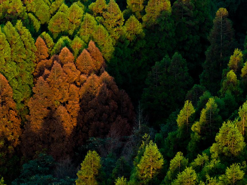 【城市远洋带图】重庆南川：半山秋色半山春