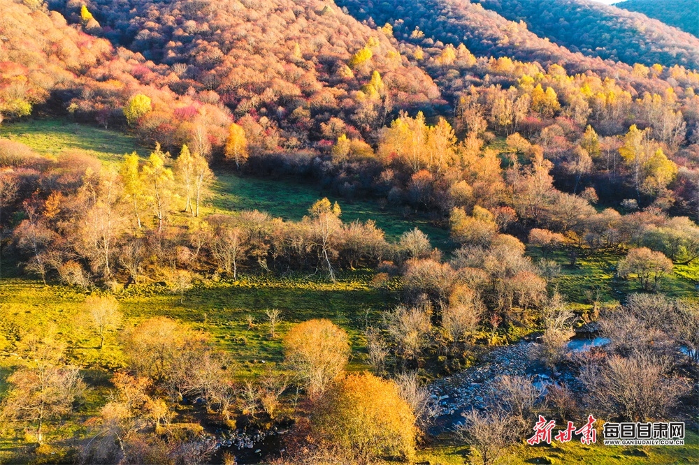 【天水】天水张家川关山秋色关不住了_fororder_1