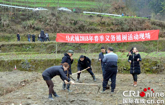 已过审【区县联动】【石柱】石柱马武镇干部义务为百姓种树4000余棵【区县联动　列表】石柱马武镇干部义务种树4000余棵