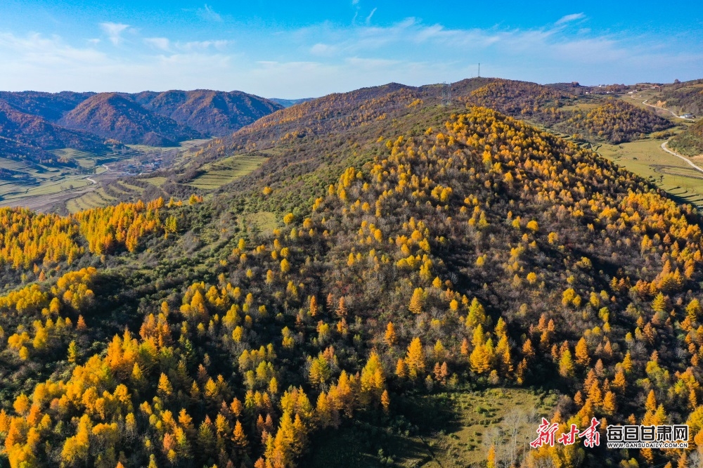 【天水】天水张家川关山秋色关不住了_fororder_5