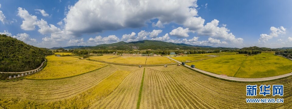 广西南宁：“碎地”变良田 稻田成乐园