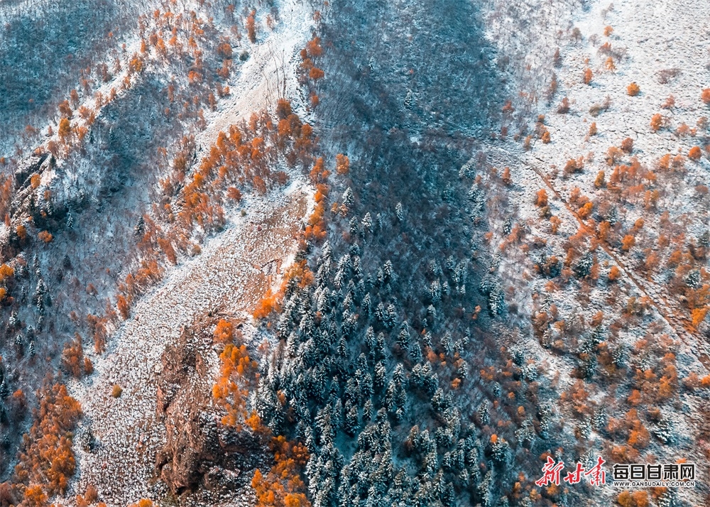 祁连山：漫山秋色犹未尽 白雪妆扮多妖娆_fororder_6