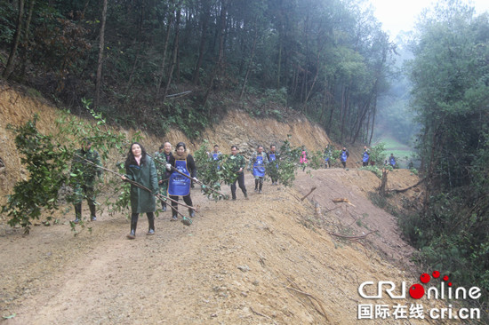 已过审【区县联动】【巴南】【区县联动 列表】新年上班第一天 巴南干部群众植树忙