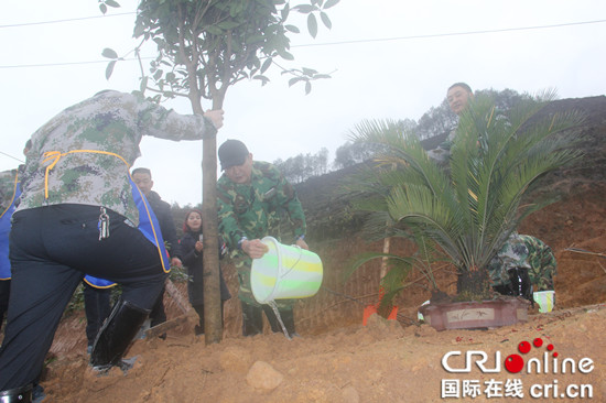 已过审【区县联动】【巴南】【区县联动 列表】新年上班第一天 巴南干部群众植树忙