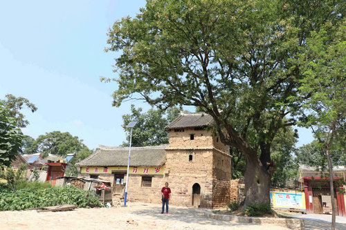 【河南供稿】河南郏县安良镇岩郭村：山乡如画 风景宜人