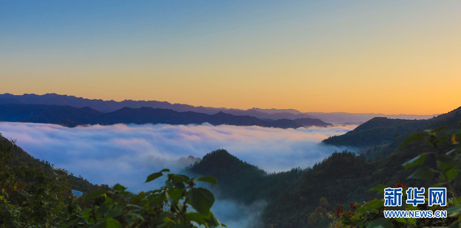 湖北郧西：云海“峰”景美如画