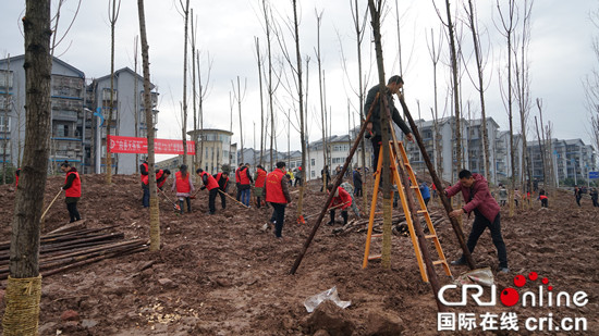 已过审【区县联动】【梁平】梁平区开展河流岸线生态复绿集中植树活动【区县联动列表】梁平开展河流岸线生态复绿集中植树活动