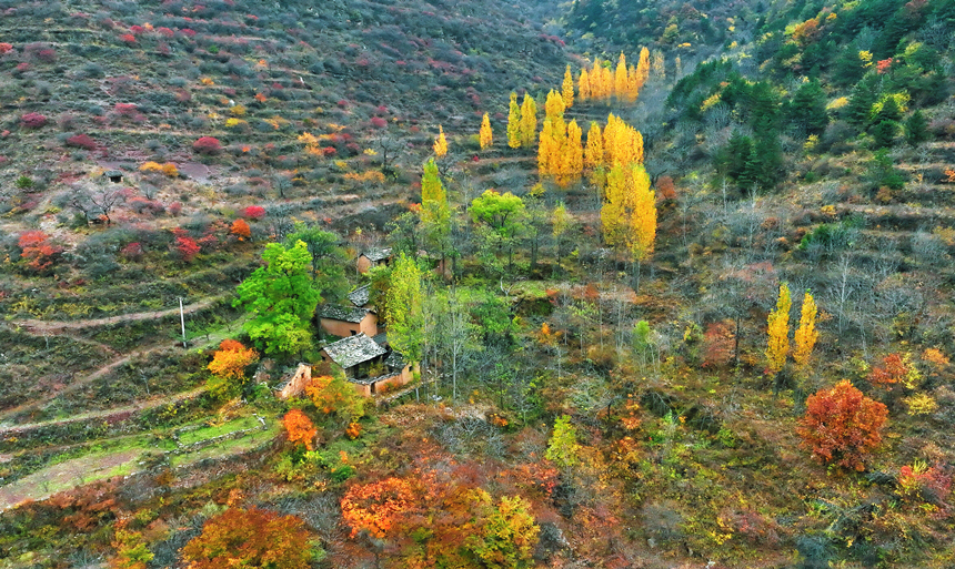 古村胜景：一幅“挂”在太行山上的油画