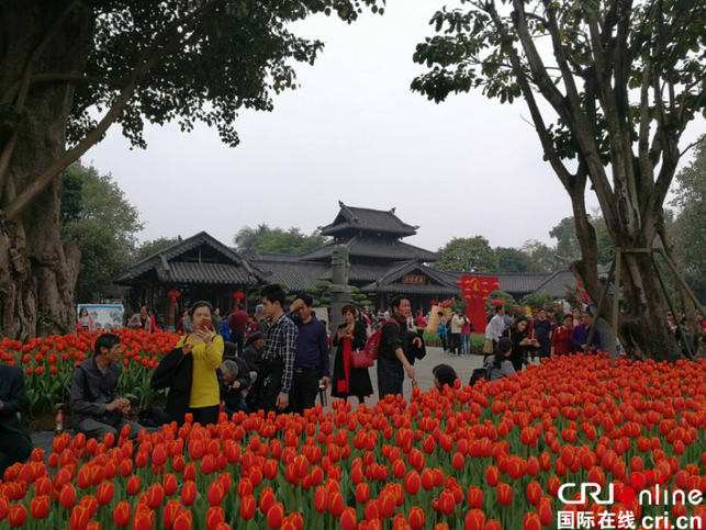 [广西要闻]（已过审）南宁春节假日共接待游客228.25万人次