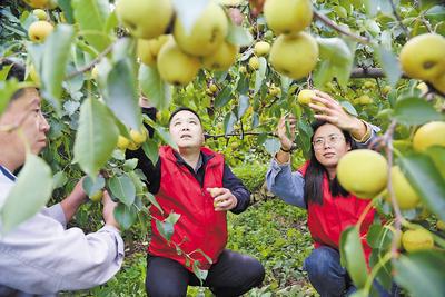 河北唐山：用榜样力量擦亮城市文明底色