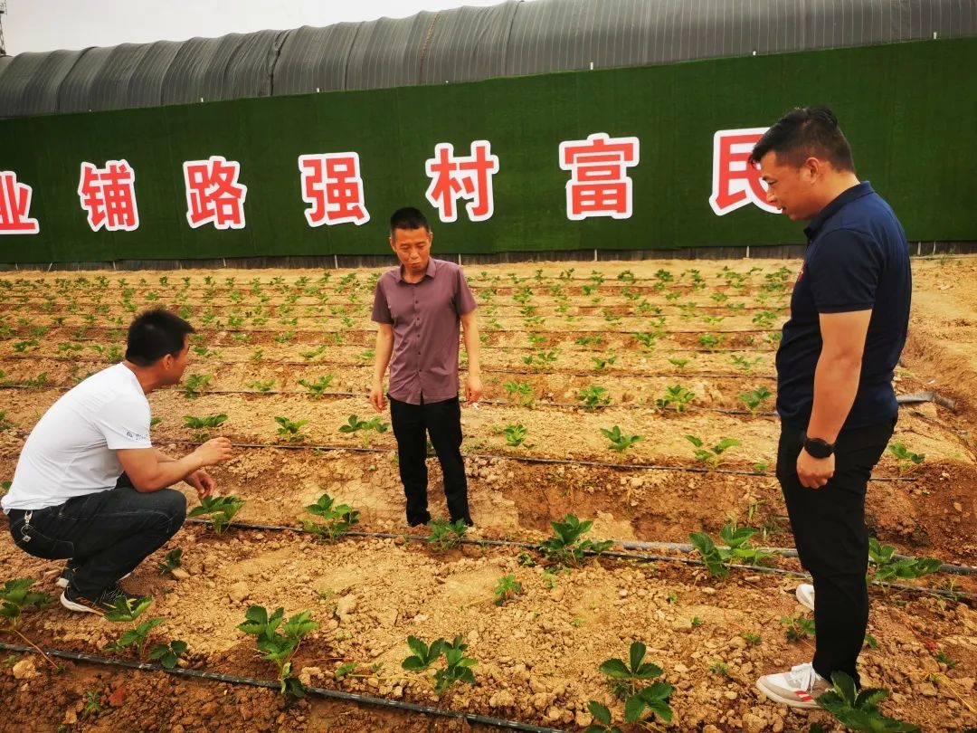 西安市高陵区：探索建立“帮扶团” 齐聚乡村促振兴_fororder_微信图片_20221104151657