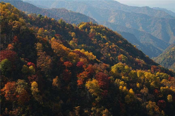 第十三届中国大巴山重庆·城口彩叶文化旅游节暨亢家寨景区西线试运营启动仪式举行_fororder_图片2