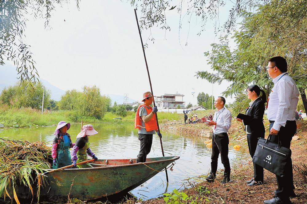 大理市跟进监督护航洱海生态廊道建设_fororder_22