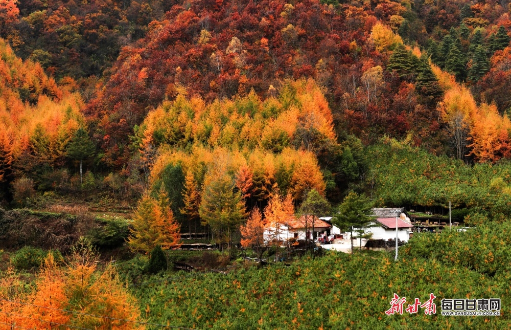 【轮播】陇南：在两当邂逅秦岭深处的最美姿彩