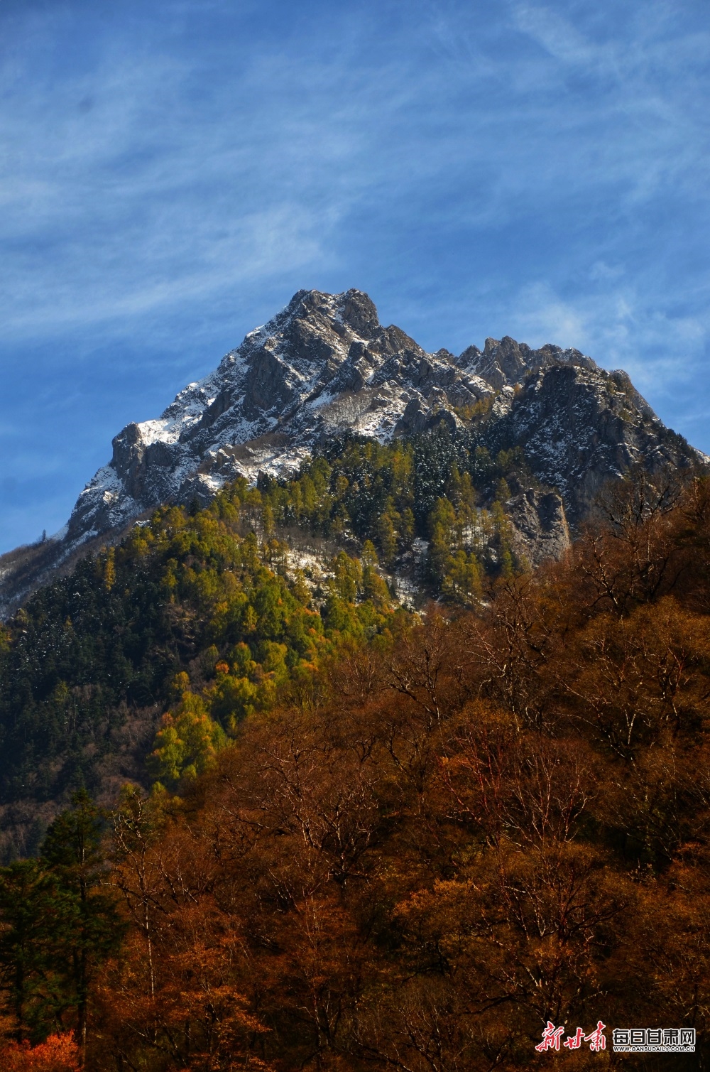 【大美甘肃】陇南：秋末冬初，官鹅沟风景这边独好