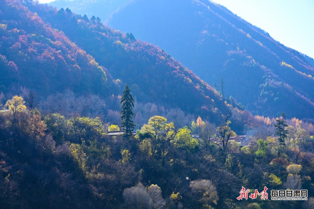 【大美甘肃】陇南：秋末冬初，官鹅沟风景这边独好