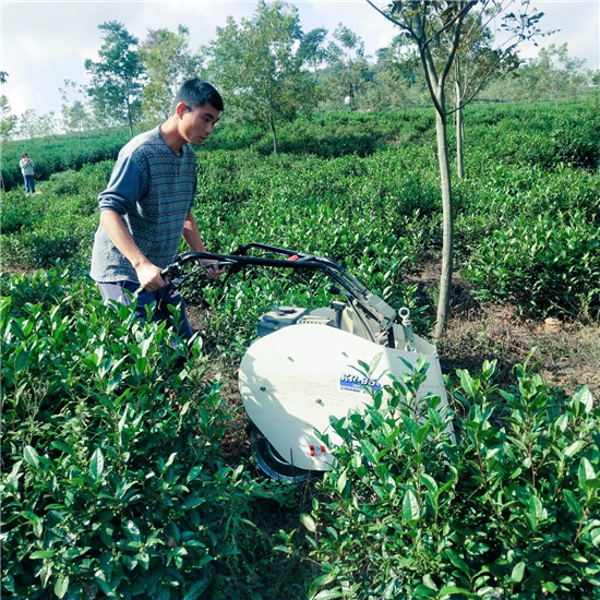 江苏句容：机械化服务队助力“茅山长青”茶园高效管理_fororder_18