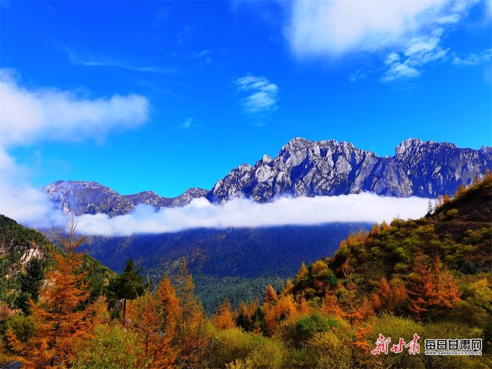 【大美甘肃】甘南：林海曲径到藏寨 云端山峰耸奇秀