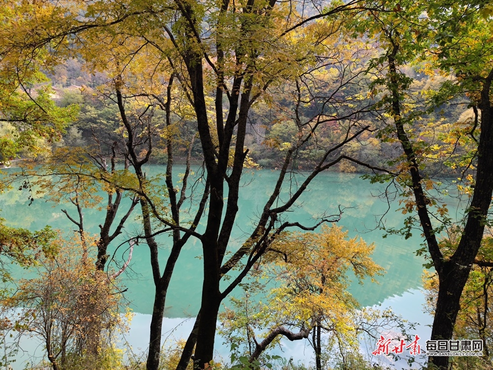 【大美甘肃】陇南：秋末冬初，官鹅沟风景这边独好