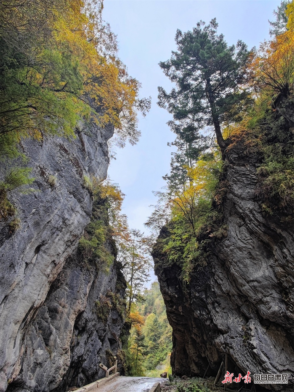 【大美甘肃】陇南：秋末冬初，官鹅沟风景这边独好