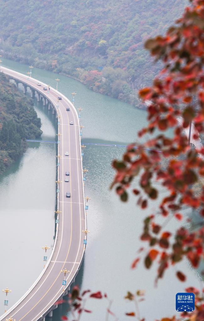 湖北宜昌：“水上公路”入画来