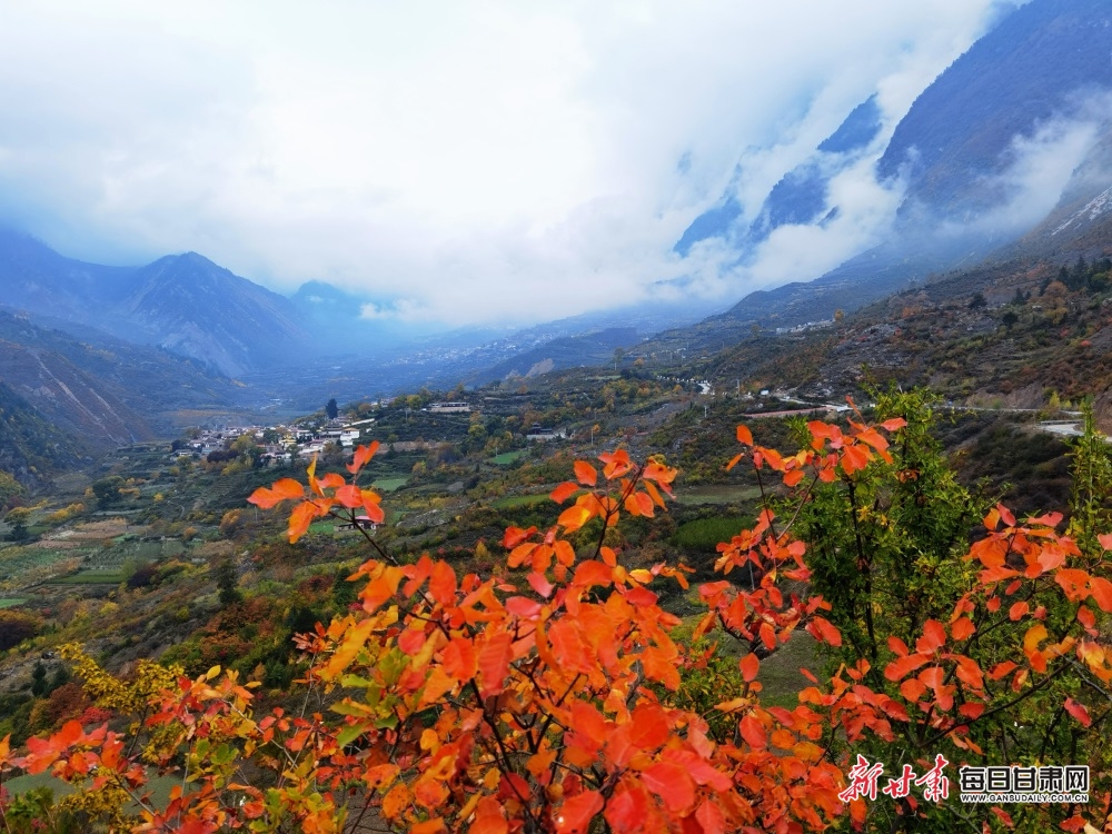 【大美甘肃】甘南：林海曲径到藏寨 云端山峰耸奇秀