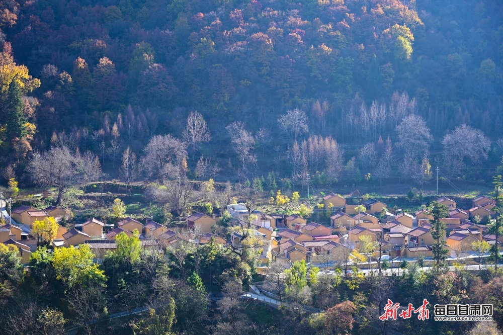 【大美甘肃】陇南：秋末冬初，官鹅沟风景这边独好