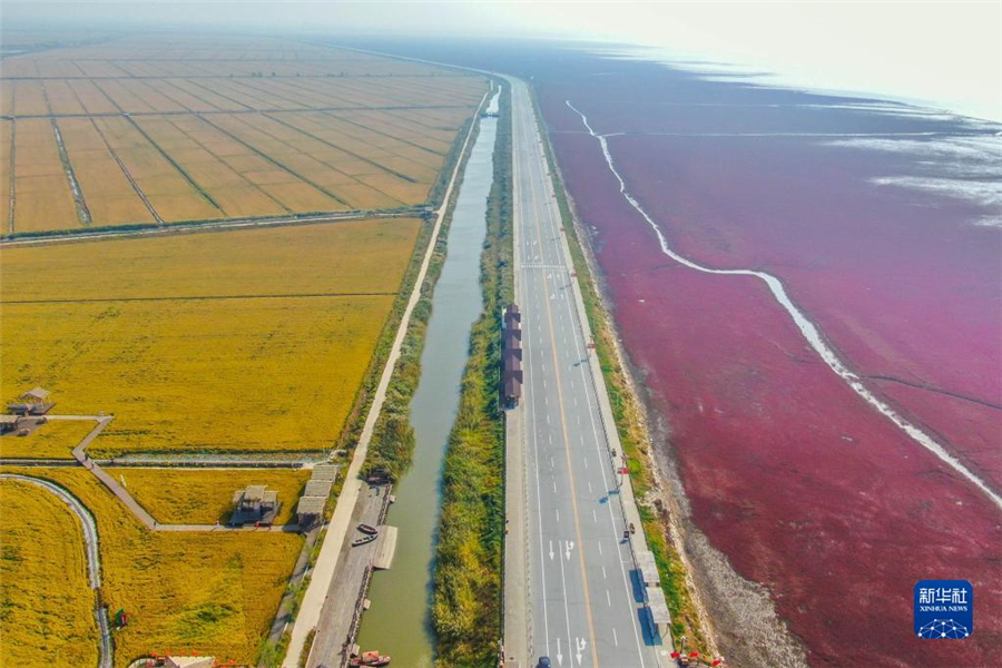 大美湿地城市丨盘锦_fororder_湿地1