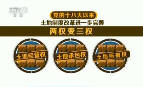 【改革调研行】“两权”抵押融资 激发农村新动力