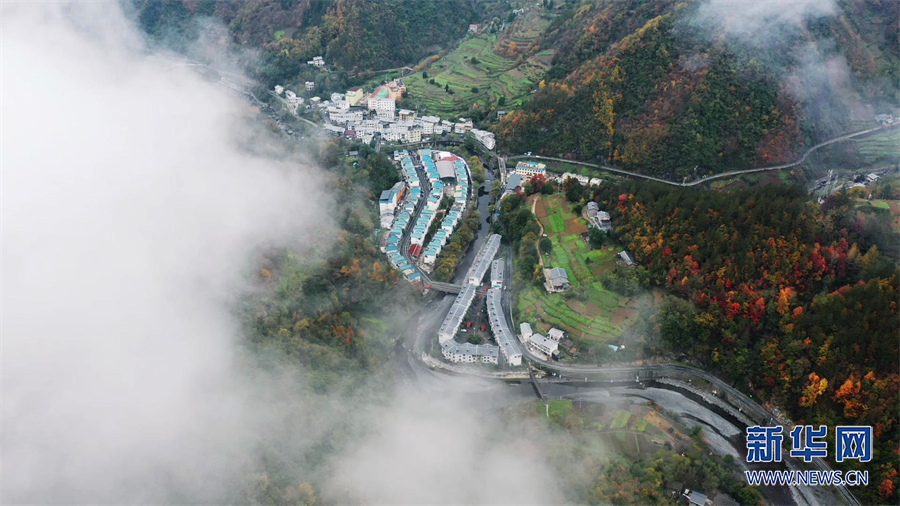 缤纷初冬 航拍城口大巴山彩叶美景