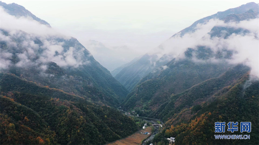 缤纷初冬 航拍城口大巴山彩叶美景