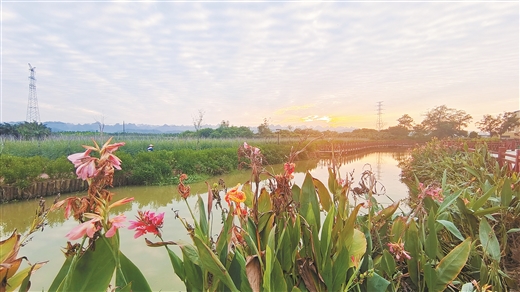 广西持续推进水土流失治理 绿了山川富了民