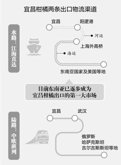 宜昌柑橘搭乘“江海直达”运往曼谷