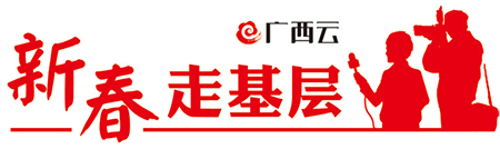 【八桂大地】【新春走基层】砂糖橘“甜”了古座屯