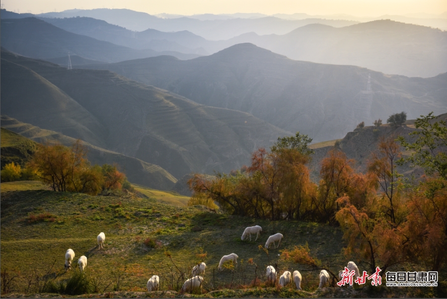 【轮播图】临夏：惊秋黄叶遍峰峦 永靖山乡画意浓