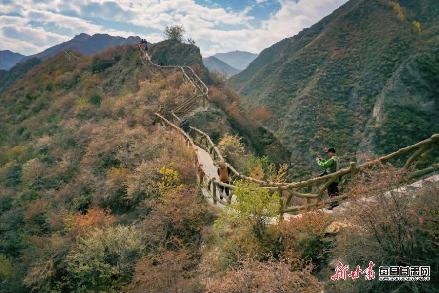 【轮播图】临夏：惊秋黄叶遍峰峦 永靖山乡画意浓