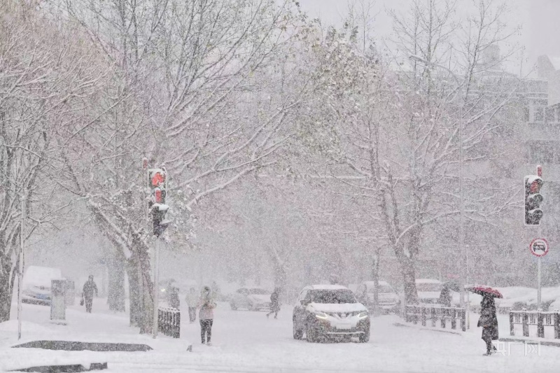 大连初雪，在冬天开始的这天