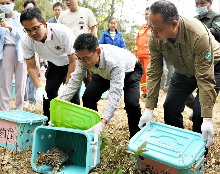 2022年广西陆生野生动物放归活动举办